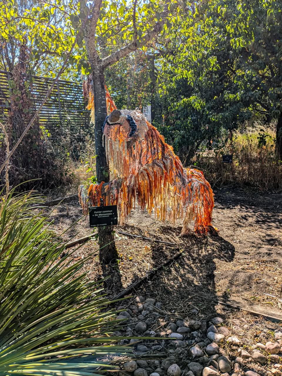 Odradek au Jardins du Muséum