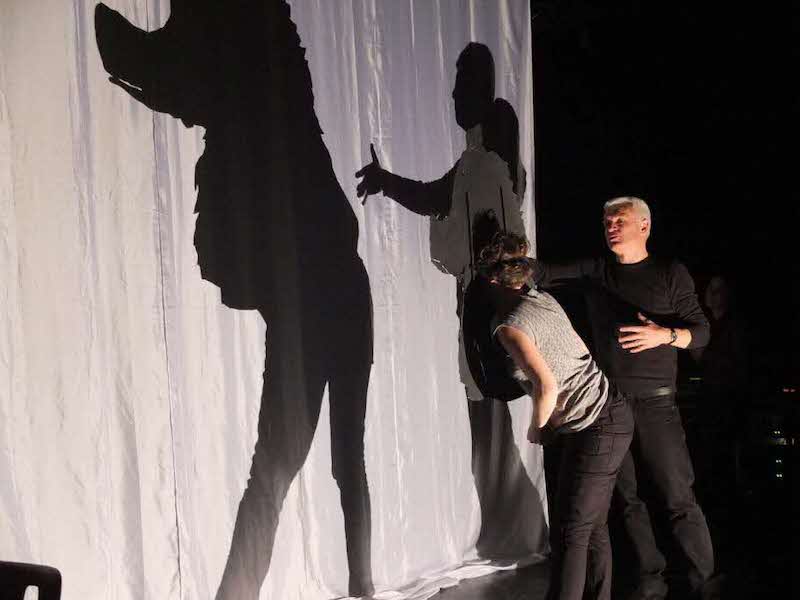 Formation 2024_Stage juillet_Théâtre d’ombre et arts plastique